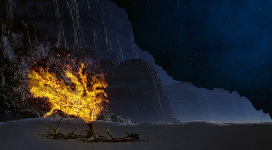 burning bush