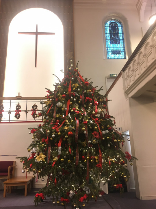 bloomsbury tree