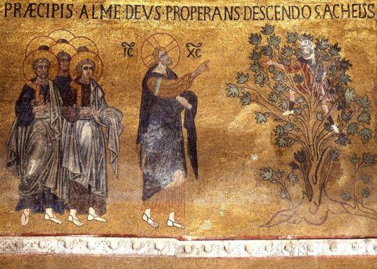 33_Nedelya_po_50ce_14