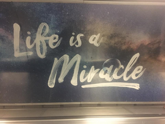 Life is a Miracle