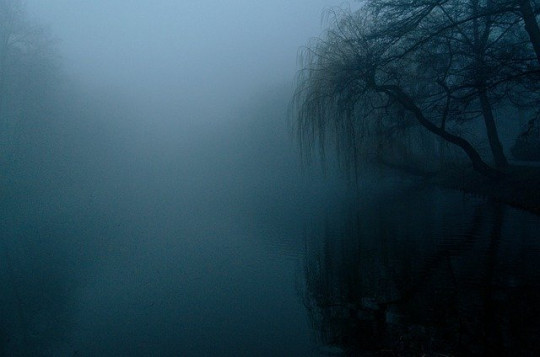 the-fog-4909513_640