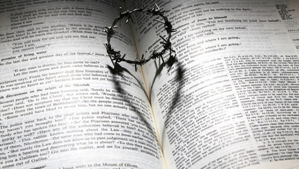 love-699480_640