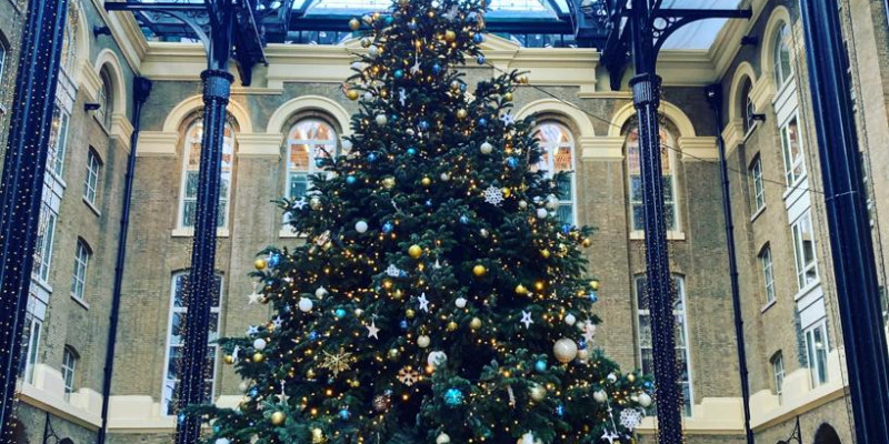 Florence Baptist Temple Living Christmas Tree 2022 Bloomsbury Central Baptist Church - Latest